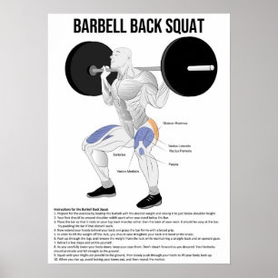 Poster Quadrado - Exercício - Gráfico de Anatomia Muscula