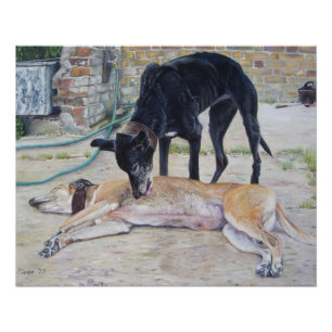 Pôster quadro artístico cênico de cães grayhound num q
