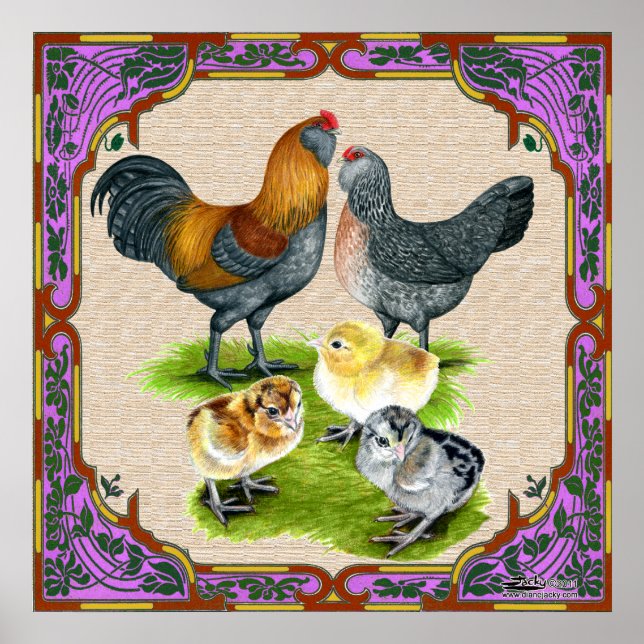 Poster Quadro da família Ameraucana (Frente)