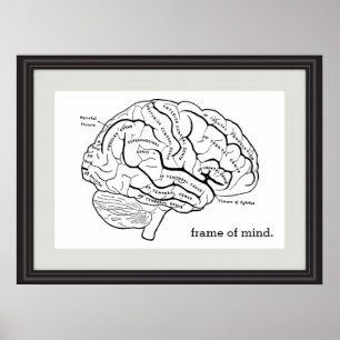 Poster Quadro da Mente Faux Diagrama do Cérebro do Quadr