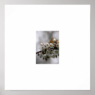 Poster quadro de imagem