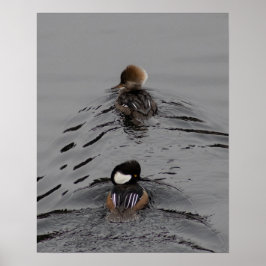 Poster Qual É o Caminho