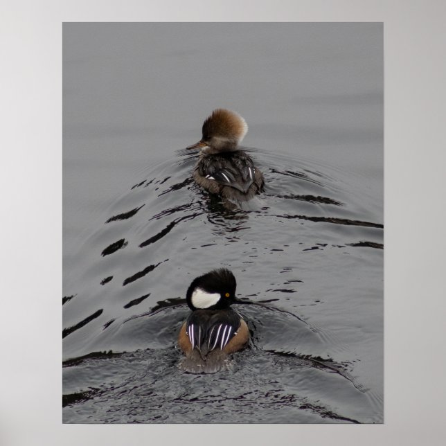 Poster Qual É o Caminho (Frente)