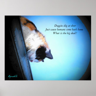 Poster Qual é o problema?