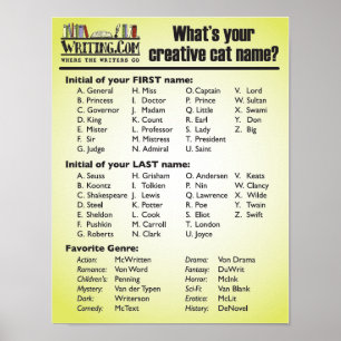 Poster Qual é o seu nome de gato criativo?
