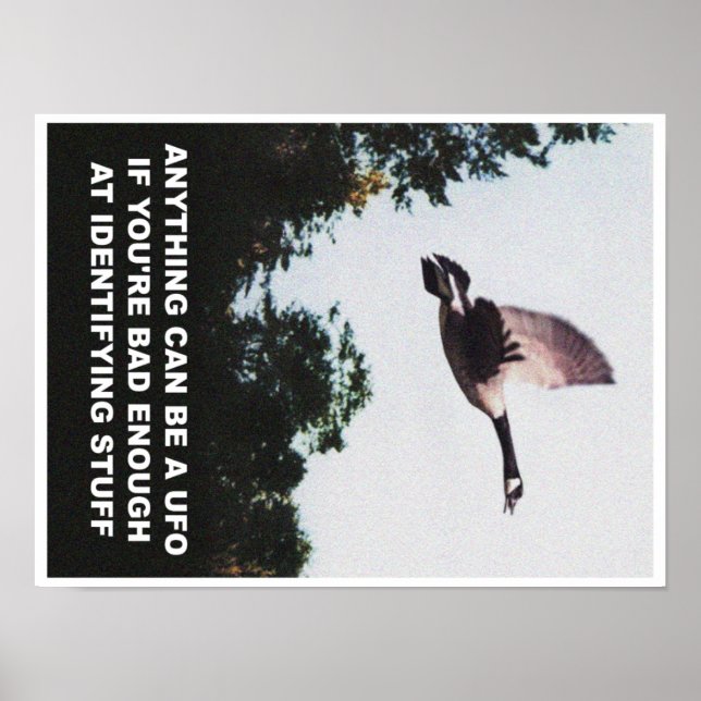 Poster Qualquer coisa pode ser um OVNI (pequeno) (Frente)