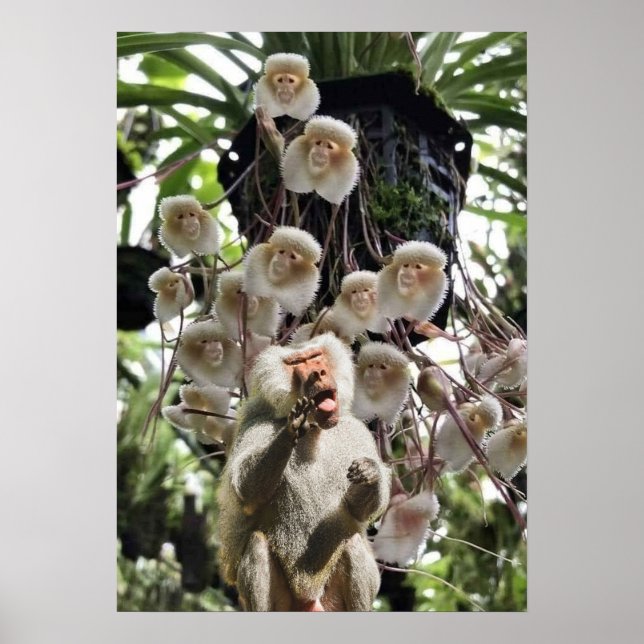 Poster Quando a natureza copia a natureza. (Frente)