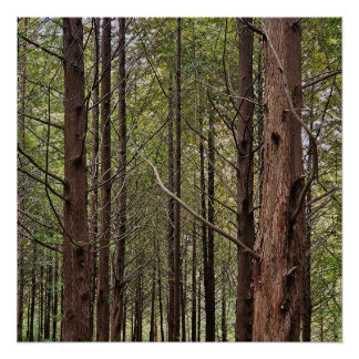 Pôster Quando as coisas ficam difíceis, os duros vão