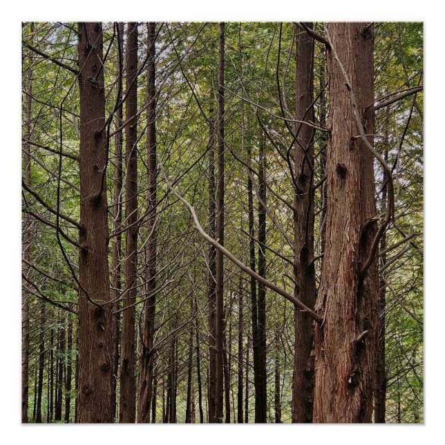 Pôster Quando as coisas ficam difíceis, os duros vão (Frente)