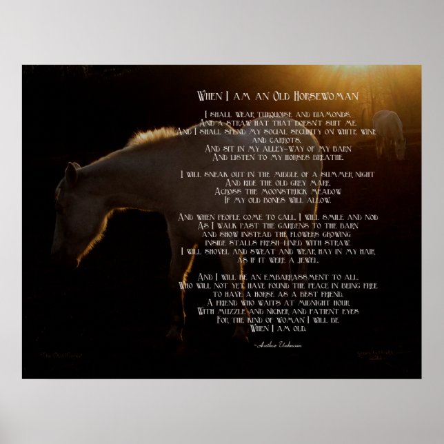 Poster Quando eu sou uma velha cavaleira (Frente)