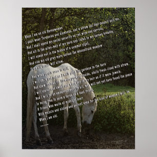 Poster Quando eu sou uma Velho Cavaleiro III