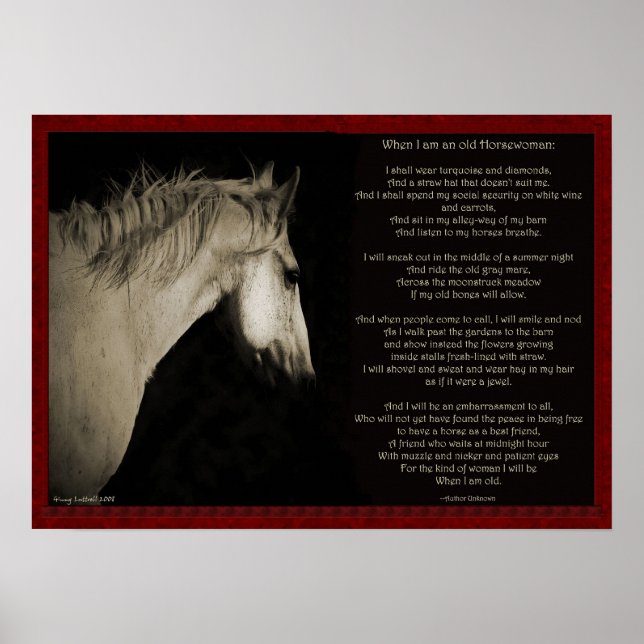 Pôster Quando sou uma velha cavaleira (Frente)