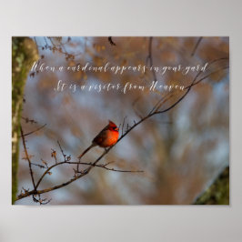 Poster Quando um cardeal aparece, fotografia