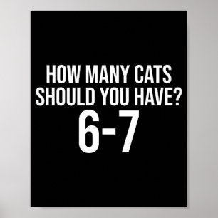 Poster Quantos Gatos Você Deve Ter 6-7 Engraçado 67 Meme