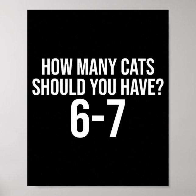 Poster Quantos Gatos Você Deve Ter 6-7 Engraçado 67 Meme  (Frente)