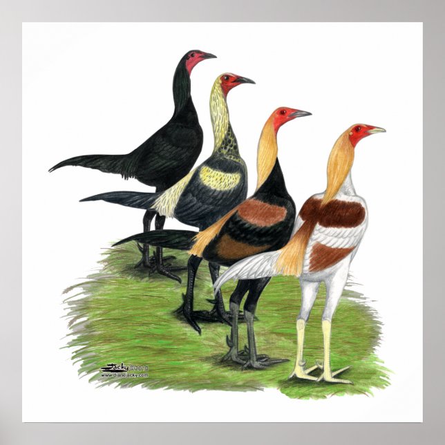 Pôster Quarteto de Jogos Modernos (Frente)