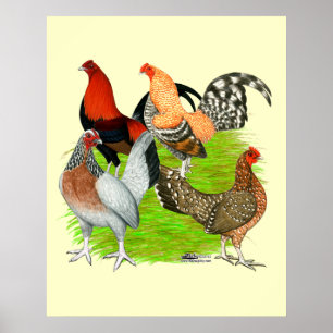 Poster Quarteto inglês velho do jogo