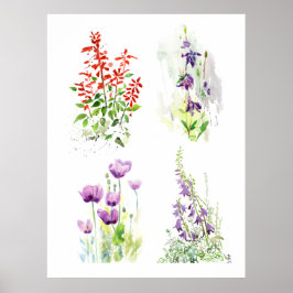 Poster Quarteto Jardim Florido Quatro Aquarelas Botânica