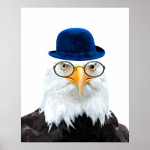 Quarto de bebê infantil de animais águia fofo e en