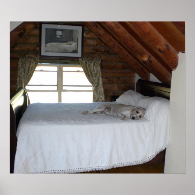 Poster Quarto do Mestre (Frente)