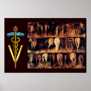 Poster Quarto traseiro dos cavalos/SÍMBOLO VETERINÁRIO CA