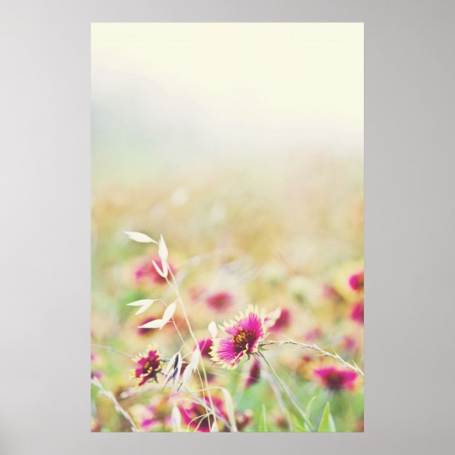 Poster Que a natureza faça (Frente)