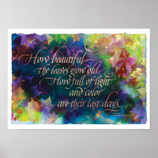 Poster Que beleza das folhas, Impressão, 17"x12"