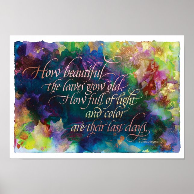 Poster Que beleza das folhas, Impressão, 17"x12" (Frente)