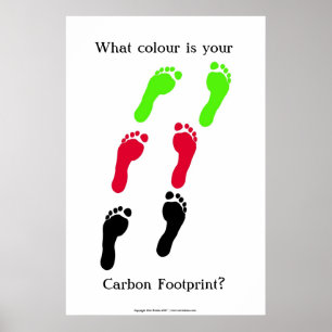Pôster Que cor é sua pegada do carbono?