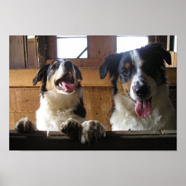 Poster Que Diversão! (Frente)