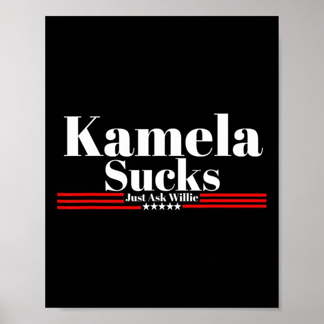 Poster Que merda, pergunte ao Willie (Frente)