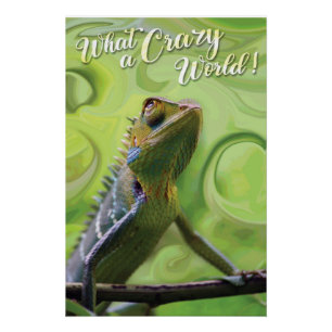 Pôster Que mundo maluco - Um Lizard especial