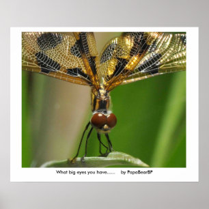 Pôster Que olhos grandes você tem ......    …