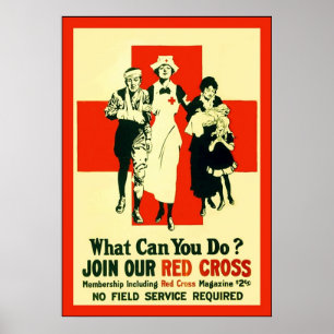Pôster Que pode você fazer? ~ WW1 da enfermeira do