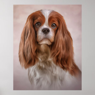 Poster Quebra-cabeça Cavalier King Charles Spaniel Jigse