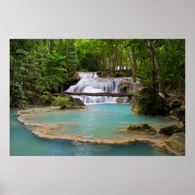 Pôster Quebra de água na Floresta Tropical (Frente)