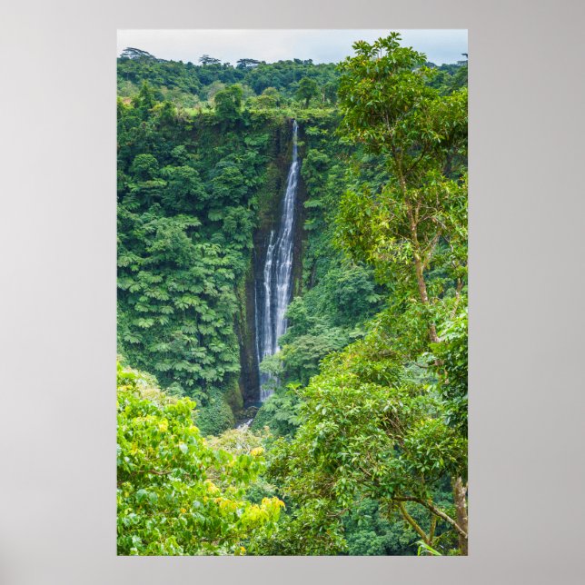 Poster Quebra De Água Papapapapitai Na Selva (Frente)