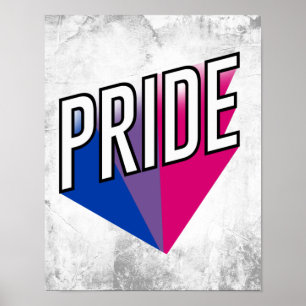 Poster Quebra do Orgulho Bissexual