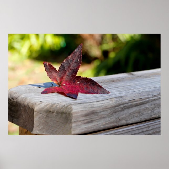 Pôster Queda (Frente)