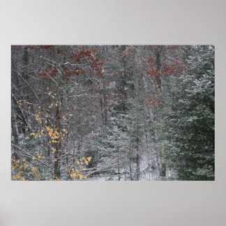 Poster Queda Antes Do Inverno