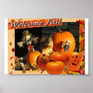Poster Queda bem-vinda