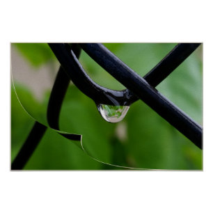 Pôster Queda de chuva