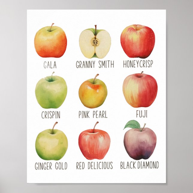 Poster Queda de Maçã-Maçã-Maçã-Maçã-Maçã-Fazenda De-Maçã- (Frente)