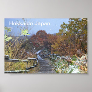 Pôster Queda de neve de Japão do Hokkaido primeira