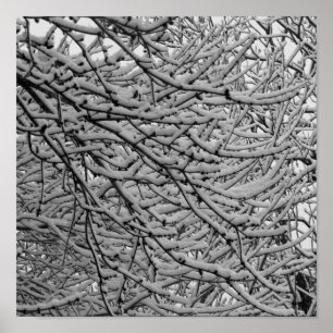 Pôster Queda de neve de Shreveport