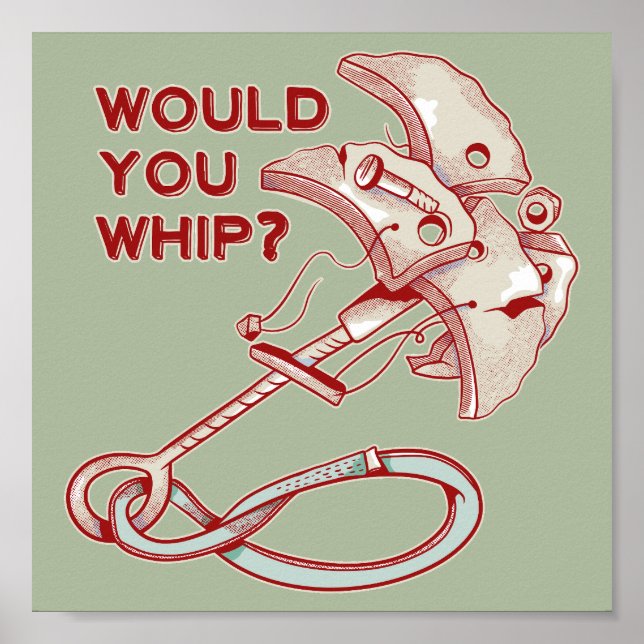 POSTER QUEDA DE WHIPPER DE LIMPEZA TRAD (Frente)