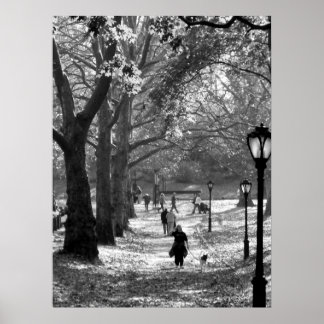 Pôster Queda no Central Park 06 25