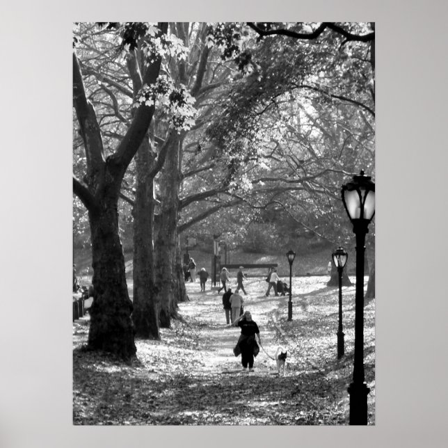 Pôster Queda no Central Park 06 25 (Frente)