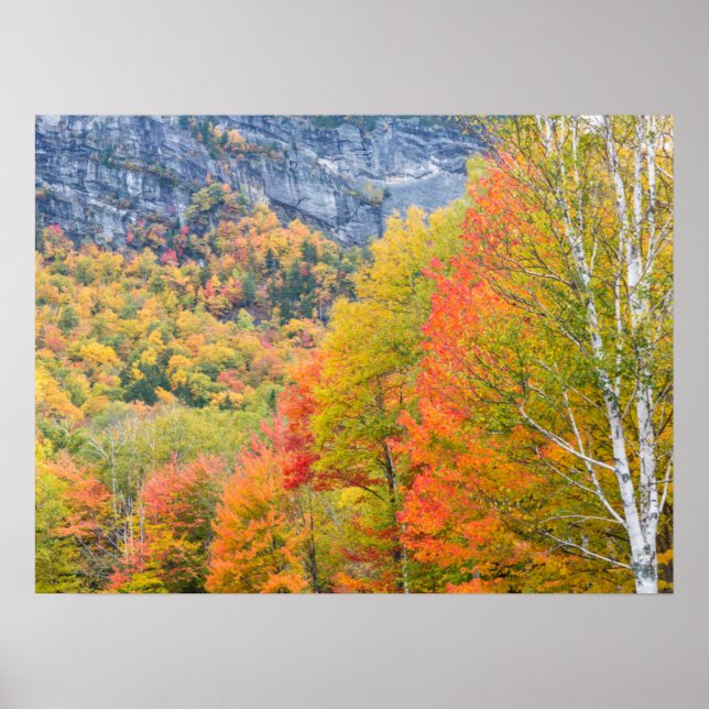 Poster Queda no Parque Estadual Grafton Notch, Maine (Frente)