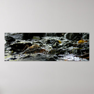 Pôster Quedas das obrigações - Península superior